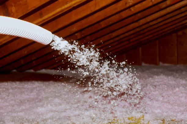 Best Blown-in Insulation in West Rancho Dominguez, CA