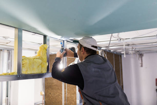 Best Energy Efficiency Insulation in West Rancho Dominguez, CA