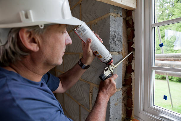 Best Cellulose Insulation in West Rancho Dominguez, CA