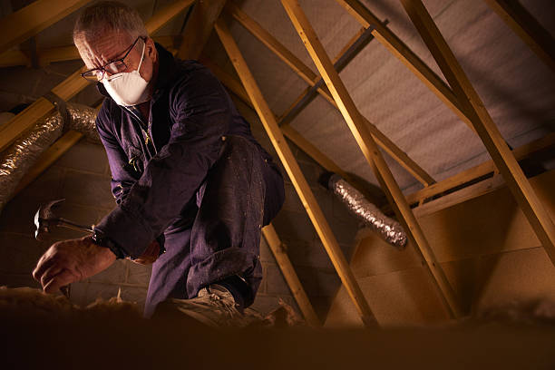 Best Commercial Insulation in West Rancho Dominguez, CA